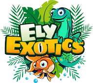 Ely Exotics Logo